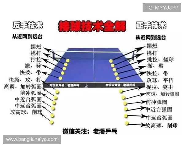 乒乓球技术与战术的完美结合：从基础动作到高级技巧的全面解析